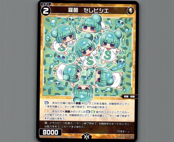 画像1: 羅菌　セレビシエ (1)