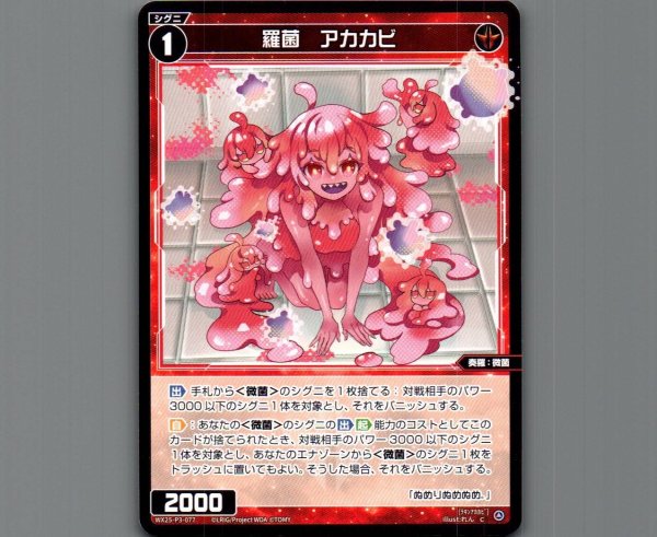 画像1: 羅菌　アカカビ (1)