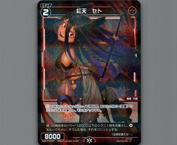 画像1: 紅天　セト(パラ) (1)