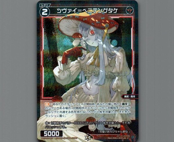 画像1: ツヴァイ＝ベニテングタケ(パラ) (1)