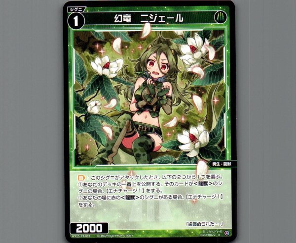 画像1: 幻竜　ニジェール (1)