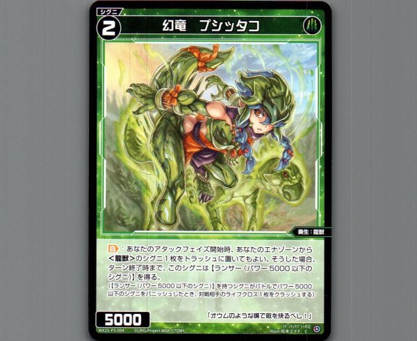 画像1: 幻竜　プシッタコ (1)