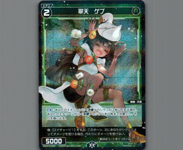 画像1: 翠天　ゲブ(パラ) (1)