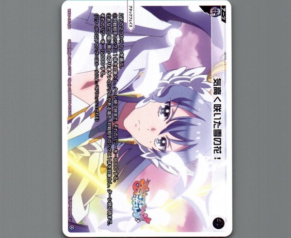 画像1: 気高く咲いた雪の花！ (1)