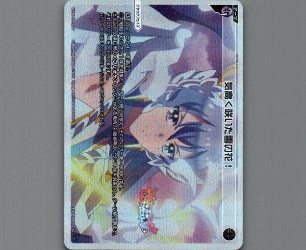 画像1: 気高く咲いた雪の花！(パラ) (1)