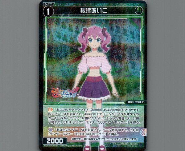 画像1: 根津あいこ(パラ) (1)