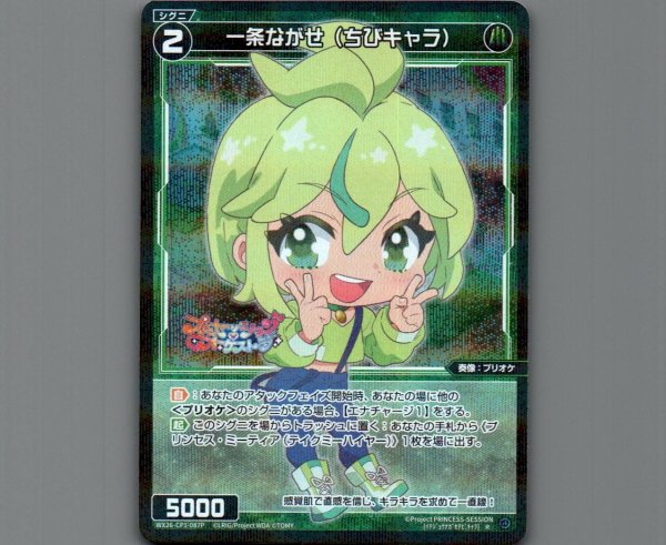 画像1: 一条ながせ（ちびキャラ）(パラ) (1)