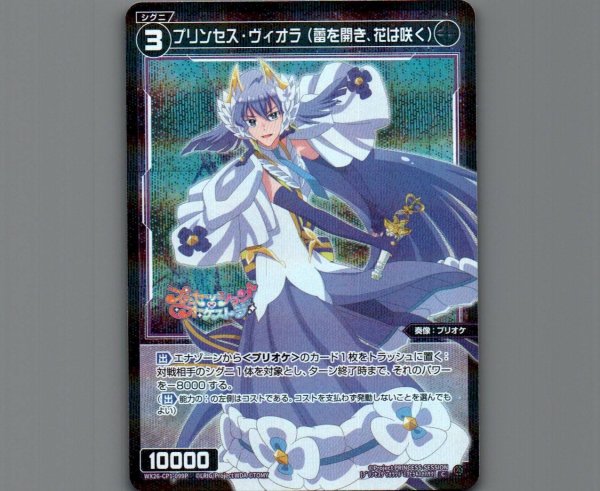 画像1: プリンセス・ヴィオラ（蕾を開き、花は咲く）(パラ) (1)