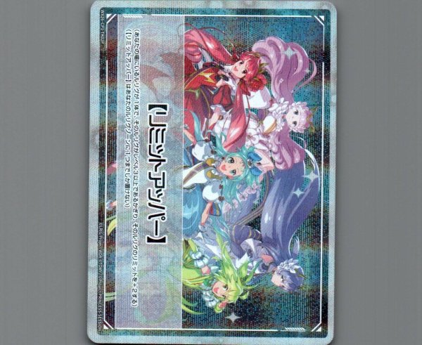 画像1: リミットアッパー(パラ) (1)