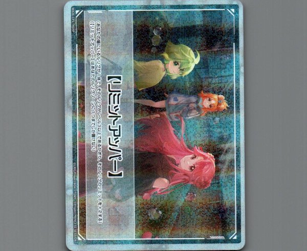 画像1: リミットアッパー(パラ) (1)