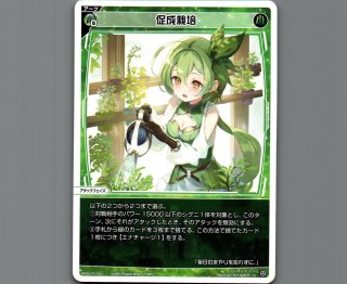 WIXOSS DIVAセレクション - 【カードショップ おうち】世界最大級