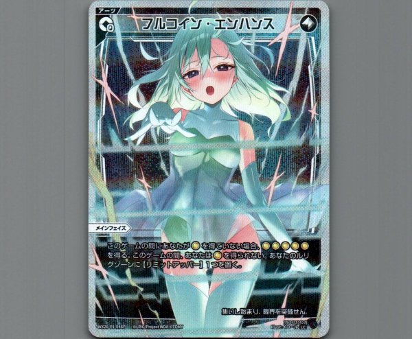 画像1: フルコイン・エンハンス(パラ) (1)