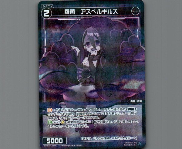 画像1: 羅菌　アスペルギルス(パラ) (1)