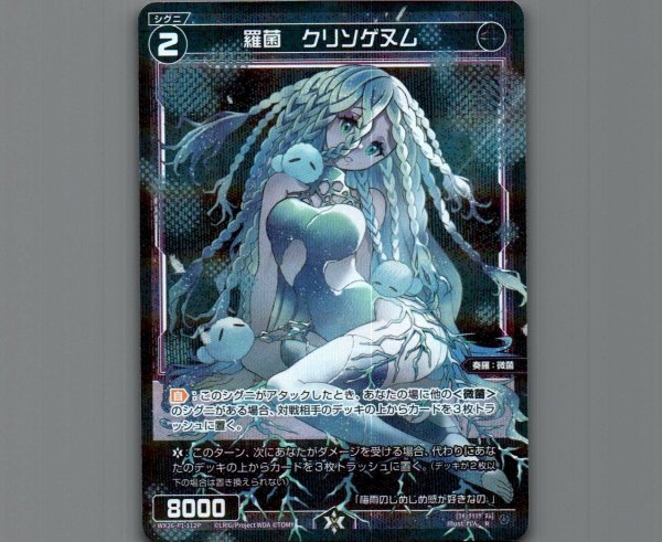 画像1: 羅菌　クリソゲヌム(パラ) (1)