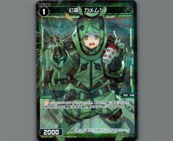 画像1: 幻蟲　カメムシ(パラ) (1)