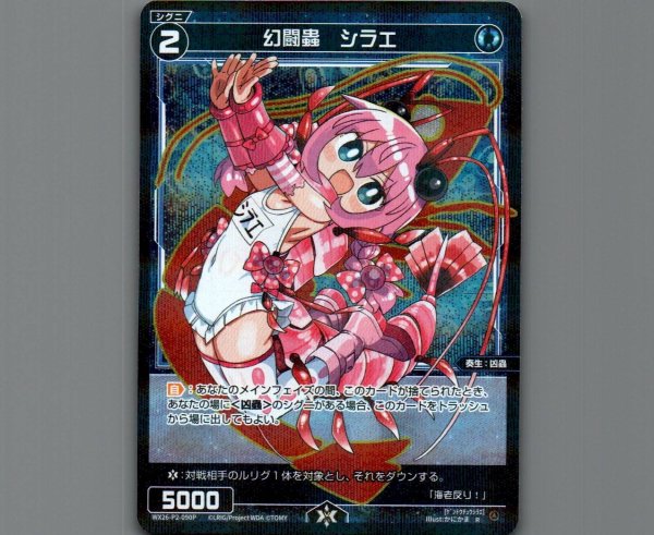 画像1: 幻闘蟲　シラエ(パラ) (1)