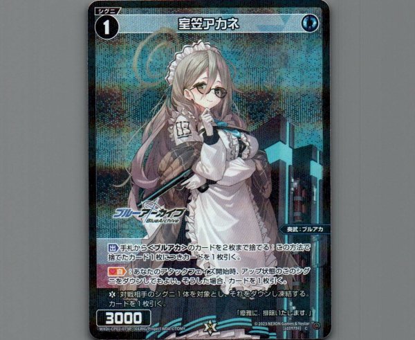 画像1: 室笠アカネ(パラ) (1)