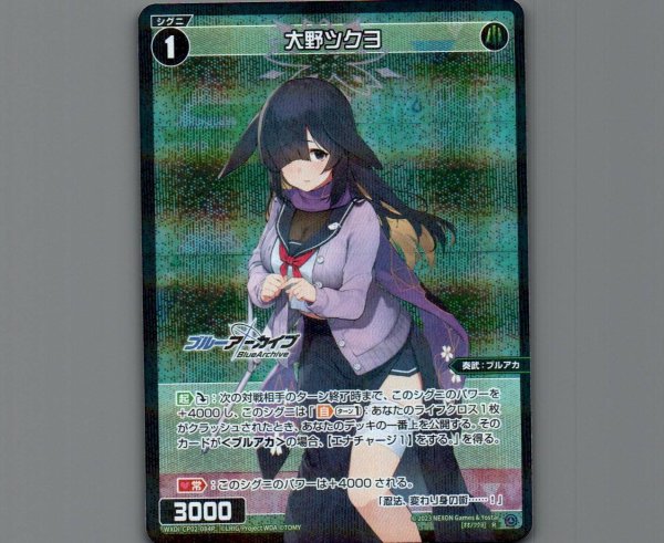 画像1: 大野ツクヨ(パラ) (1)