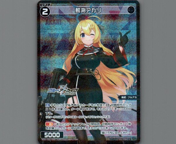 画像1: 鰐渕アカリ(パラ) (1)