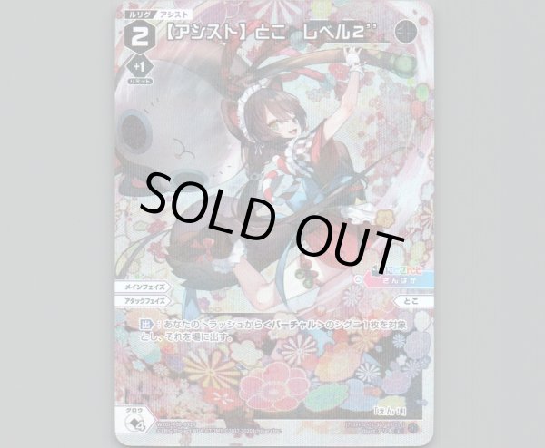 画像1: 【アシスト】とこ レベル2’’(パラ) (1)