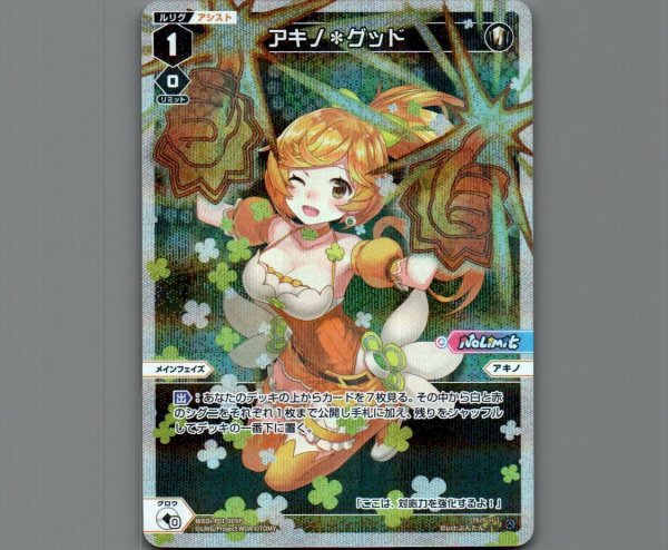 画像1: アキノ＊グッド(パラ) (1)