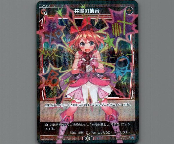 画像1: 共鳴の壊音(パラ) (1)