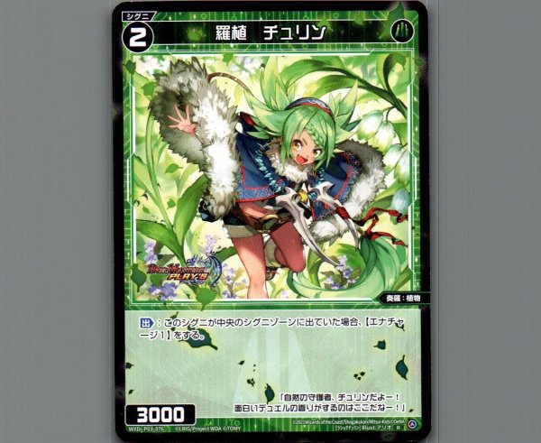 画像1: 羅植 チュリン (1)