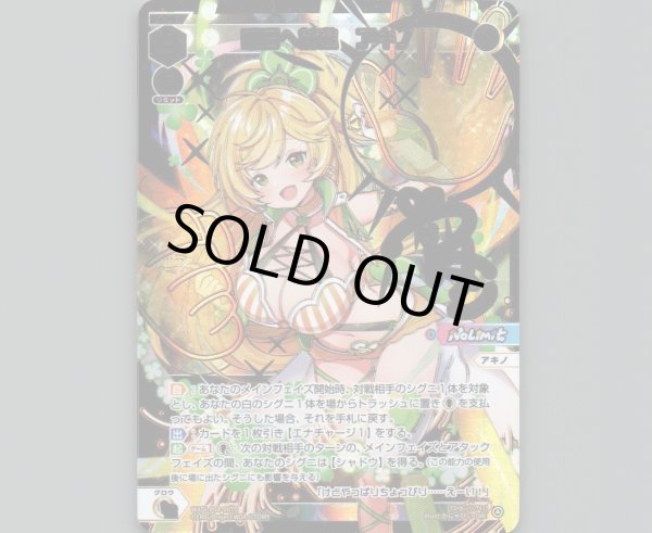 画像1: 明日へ前進 アキノ(DiR) (1)