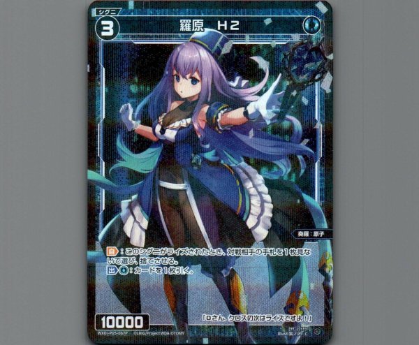 画像1: 羅原 H2(パラ) (1)