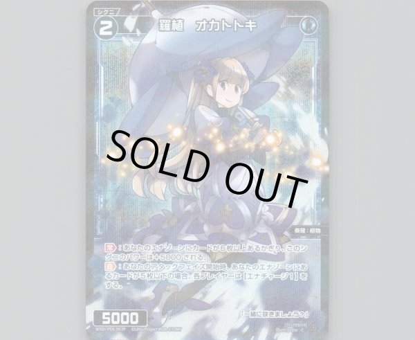 画像1: 羅植 オカトトキ(パラ) (1)