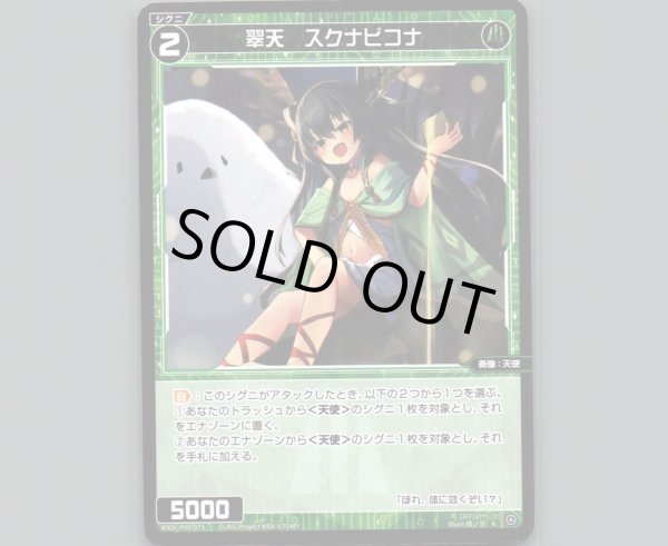 画像1: 翠天 スクナビコナ (1)