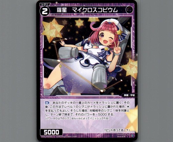 画像1: 羅星 マイクロスコピウム (1)