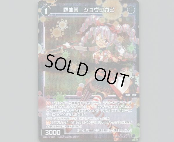 画像1: 羅油菌 ショウコカビ(パラ) (1)