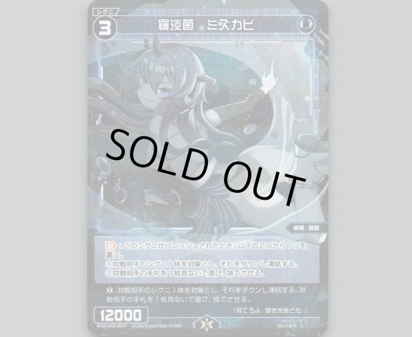 画像1: 羅淡菌 ミズカビ(パラ) (1)