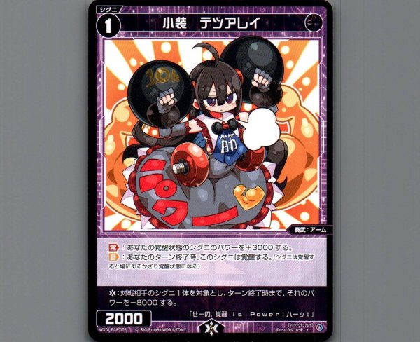 画像1: 小装 テツアレイ (1)