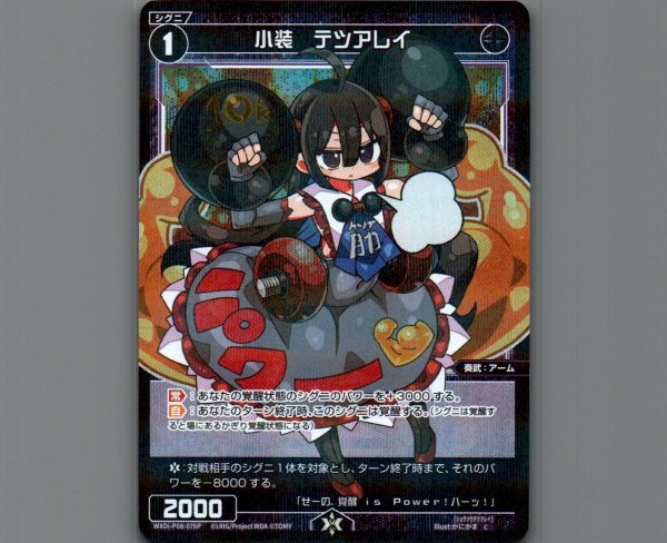 画像1: 小装 テツアレイ(パラ) (1)