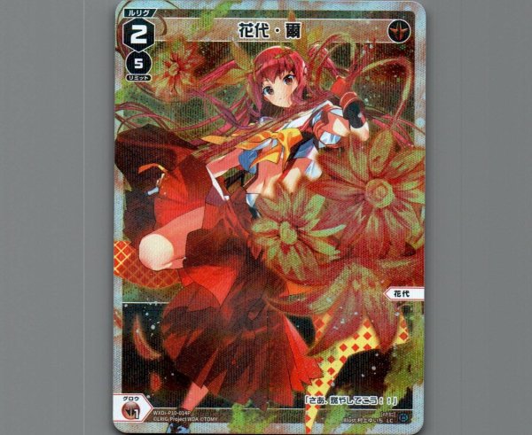 画像1: 花代・爾(パラ) (1)