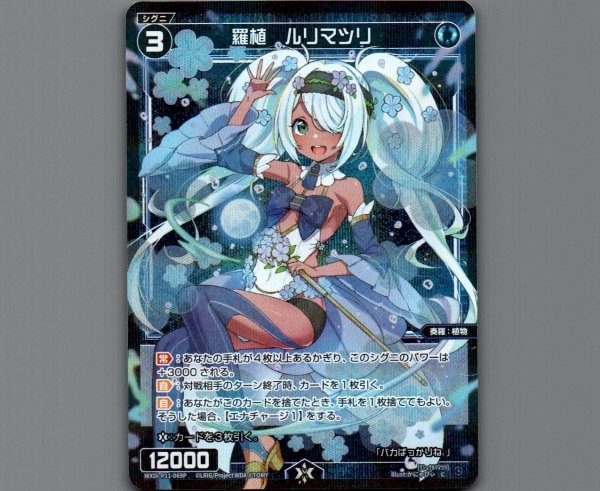 画像1: 羅植 ルリマツリ(パラ) (1)