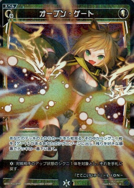 画像1: オープン・ゲート(パラ) (1)