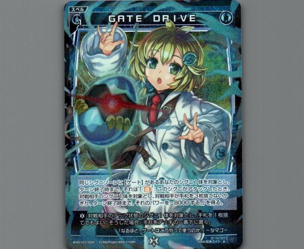 画像1: GATE　DRIVE(パラ) (1)