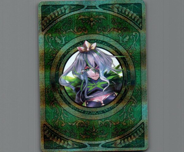 画像1: コイン(パラ) (1)