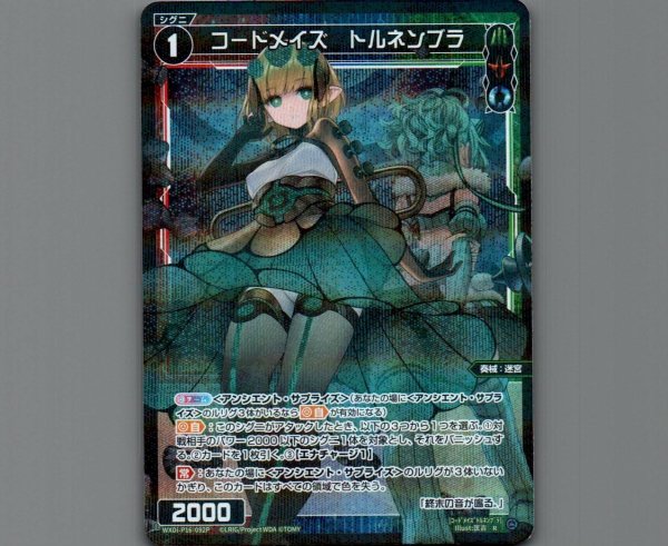 画像1: コードメイズ　トルネンブラ(パラ) (1)