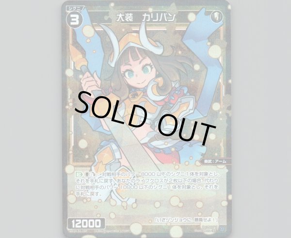 画像1: 大装 カリバン(パラ) (1)