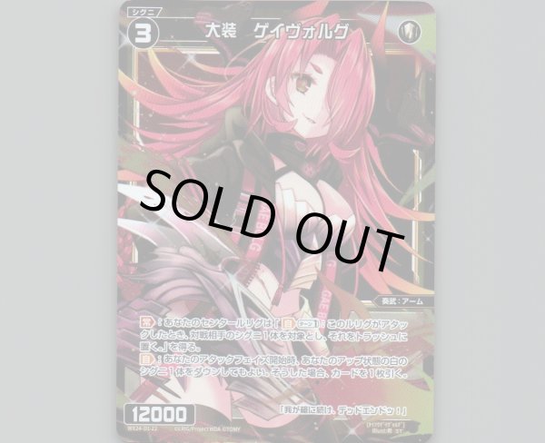 画像1: 大装 ゲイヴォルグ(パラ) (1)