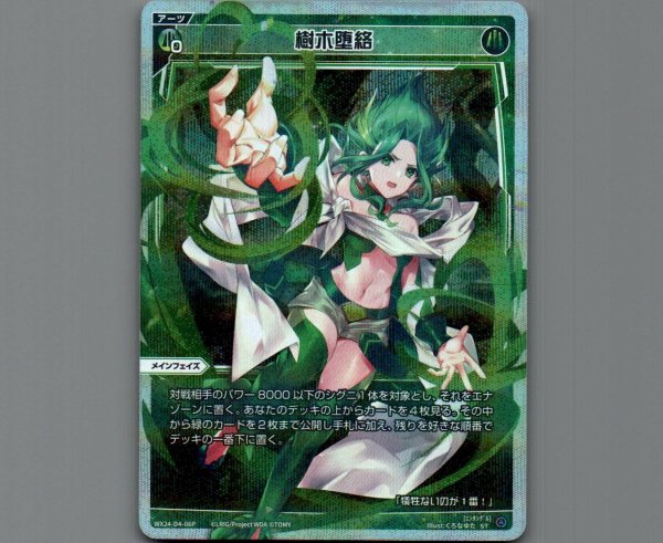 画像1: 樹木堕絡(パラ) (1)