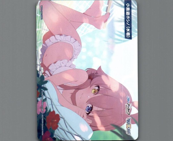 画像1: 小鳥遊ホシノ(水着) (1)