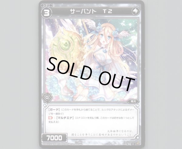 画像1: サーバント T2 (1)