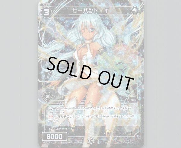 画像1: サーバント T(パラ) (1)