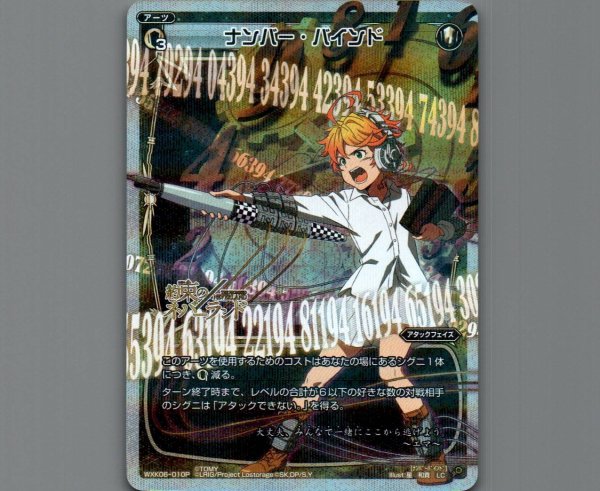 画像1: ナンバー・バインド(パラ) (1)