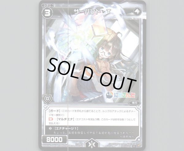 画像1: サーバント T (1)